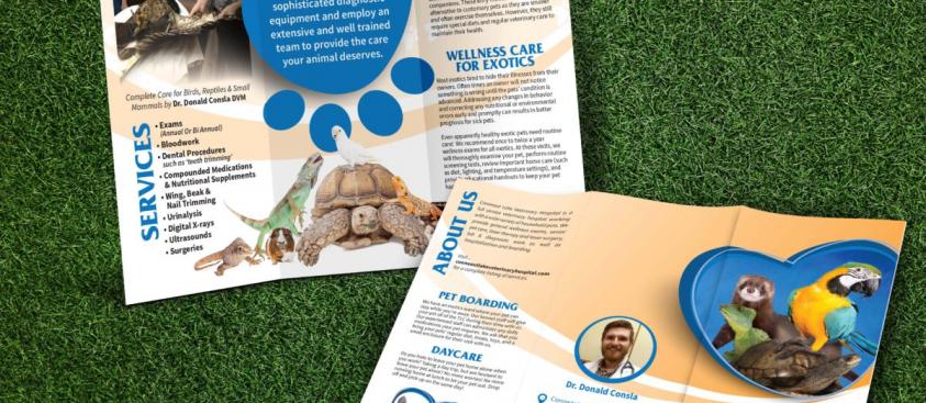 Conneaut Lake Veterinary Hospital – Trifold Brochure