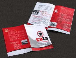 CATA Brochure