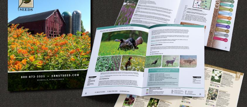 Ernst Seeds Catalog